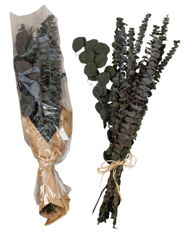 Trockengesteck Eukalyptus h=65 cm